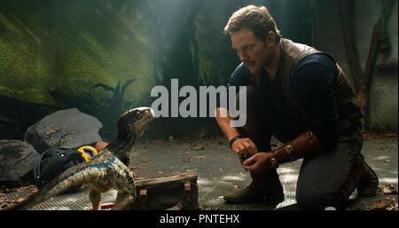 Titre original : JURASSIC WORLD : royaume déchu. Titre en anglais : JURASSIC WORLD : FALLEN ROYAUME. Année : 2018. Directeur : JUAN ANTONIO BAYONA. Stars : Chris PRATT. Credit : Amblin ent/Apaches ORL/Ent légendaire/Universal Pictures / Album Banque D'Images