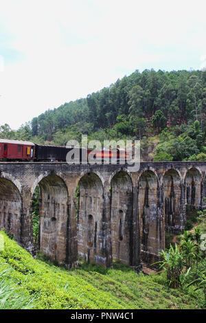 Équitation en train au Sri Lanka Banque D'Images