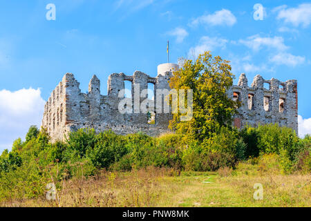 Voir de belles ruines du château médiéval Rabsztyn aux beaux jours de l'été, Pologne Banque D'Images