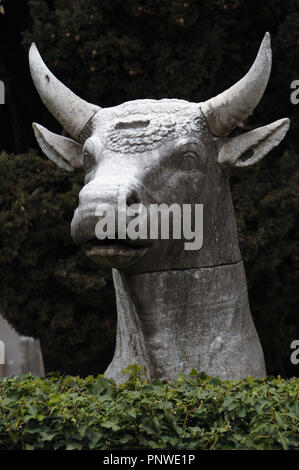 L'Italie. Rome. Musée National Romain (Thermes de Dioclétien). Bull Head sculpture. Banque D'Images
