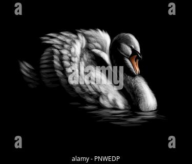 Portrait d'un cygne blanc sur fond noir Illustration de Vecteur