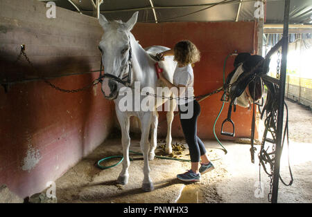 Jeune fille de préparer un cheval pour une balade Banque D'Images