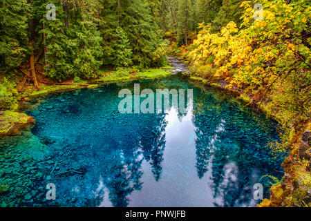 La couleur en automne à Tamolitch (piscine La piscine bleue) sur la rivière McKenzie près de Eugene Oregon Banque D'Images