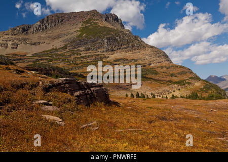 Logan Pass, Glacier NP Banque D'Images