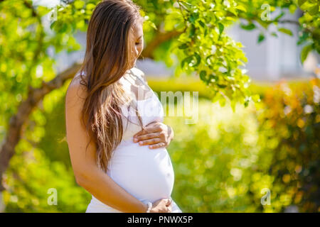 Smiling pregnant woman standing in garden holding hands on belly Banque D'Images