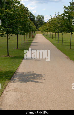 Long chemin droit dans un parc public Banque D'Images