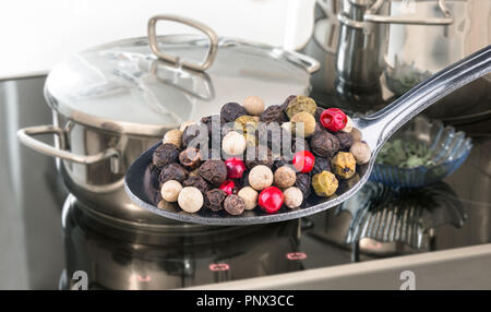 Cuillère de poivre couleur épicée close-up. Piper nigrum. Gamme cuisine électrique. Pots en acier inoxydable, couvercle, bol en verre. Réflexion sur une plaque de cuisson. Banque D'Images