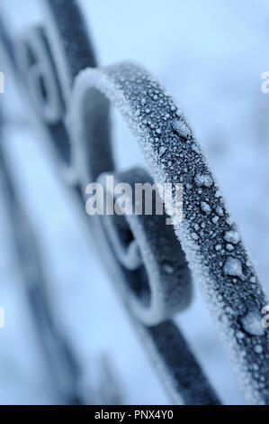 Flocons gelés sur une grille de fer en hiver Banque D'Images