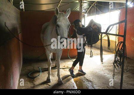 Jeune fille de préparer un cheval pour une balade Banque D'Images