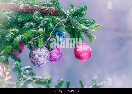 Décorations de Noël colorés suspendus aux branches de l'arbre de Noël en décembre Banque D'Images