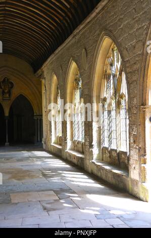 Les Cloisters Cathédrale de Chichester Banque D'Images