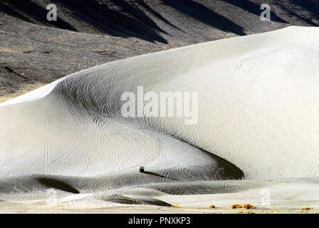 Nevada- Dune Buggy sur l'une des plus grandes dunes de sable dans le USA. Veuillez noter, la personne n'est pas reconnaissable. Banque D'Images