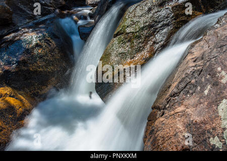 Ruisseau de montagne et d'eau claire - lisse les gros rochers dans un ruisseau de montagne. Rocky Mountain National Park, Colorado, USA. Banque D'Images