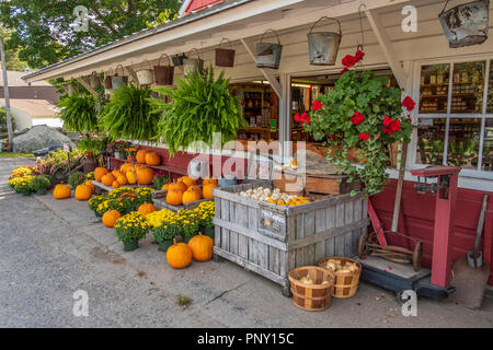 Se ferme à l'automne la vente de citrouilles Banque D'Images