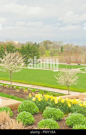 Nuages en couches sur Forest Park crée plus de lumière spectaculaires fleurs jaune et blanc en avril. arbres - lishui Banque D'Images