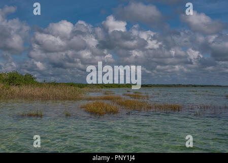 Les eaux peu profondes d'un lagon tropical et des zones humides sous un ciel avec des nuages à Sian Ka'an réserver dans la péninsule du Yucatan au Mexique Banque D'Images