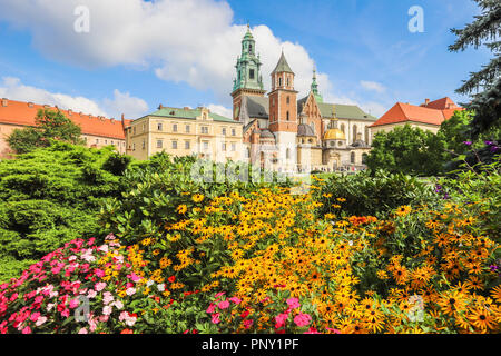 Le château de Wawel à Cracovie Pologne Banque D'Images