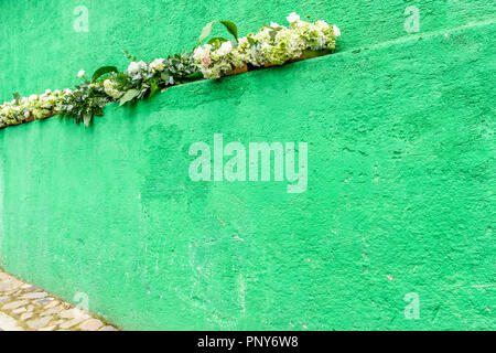 Mur peint vert uni chambre avec des fleurs blanches en bois boîtes en usine. Banque D'Images