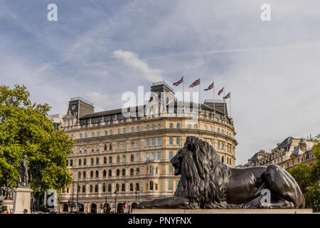 Londres. Septembre 2018. Une vue de l'un des lions de Trafalgar Square à Londres Banque D'Images