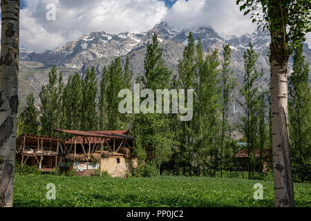 Arslanbob dans l'ambiance du sud-ouest des montagnes de la Fergana Kirghizistan Banque D'Images