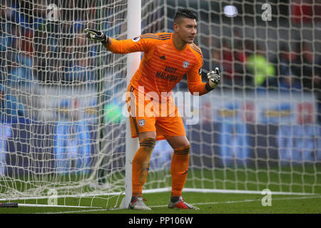 Cardiff, Royaume-Uni. 22 Sep, 2018. Neil Etheridge, le gardien de la ville de Cardiff en action.Premier League match, Cardiff City v Manchester City au Cardiff City Stadium le samedi 22 septembre 2018. Cette image ne peut être utilisé qu'à des fins rédactionnelles. Usage éditorial uniquement, licence requise pour un usage commercial. Aucune utilisation de pari, de jeux ou d'un seul club/ligue/dvd publications. Photos par Andrew Andrew/Verger Verger la photographie de sport/Alamy live news Crédit : Andrew Orchard la photographie de sport/Alamy Live News Banque D'Images