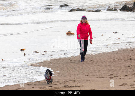 Colwyn Bay, Royaume-Uni. Septembre 2018UK Weather : un sentiment d'automne dans l'air sur l'Équinoxe d'automne le premier jour de l'automne avec des températures plus froides et des conditions de vent à la commune de Colwyn Bay, au nord du Pays de Galles. Un chien walker en tenant son chien de compagnie pour une promenade sur la plage exposée au vent à Colwyn Bay, au nord du Pays de Galles Banque D'Images