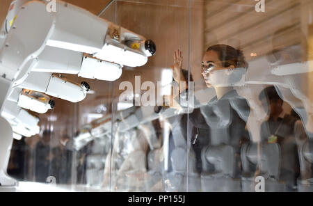 Beijing, Chine. 18 Sep, 2018. Un participant interagit avec les robots au cours de la réunion annuelle des nouveaux champions 2018, également connue sous le nom de Forum de Davos d'été, à Tianjin, Chine du nord, 18 septembre 2018. Credit : Yue Yuewei/Xinhua/Alamy Live News Banque D'Images