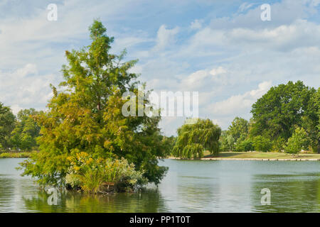 Ciel bleu avec des nuages sur un cyprès chauve sur un îlot dans le Post-Dispatch Lac avec un saule pleureur dans la distance à St Louis Forest Park. Banque D'Images