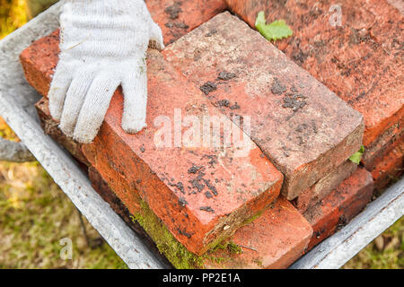 Puting travailleur la brique dans la brouette outdoor. main libre Banque D'Images