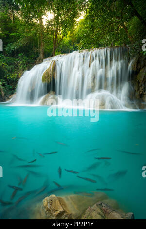 Chute d'eau d'Erawan en Thaïlande est de localiser en Provience de Kanchanaburi. Cette cascade est dans le parc national d'Erawan à l'intérieur de la forêt. À partir de niveau 2 7. Banque D'Images