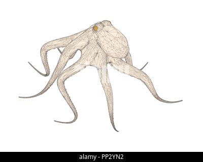 Vector illustration d'un poulpe polygonales. Isolées. Illustration de Vecteur