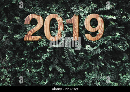 Bonne année 2019 nombre de textures de bois sur mur vert feuilles Nature background,concept eco bio,maison de vacances Carte de vœux.Laisser copie espace pour l'ajout de t Banque D'Images