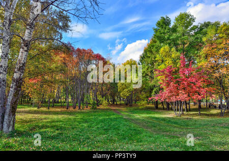 Petit coin d'automne parc de la ville avec le chemin à travers les arbres avec pelouse entre le feuillage multicolore rouge et arbres rowan - paysage d'automne à bright su Banque D'Images