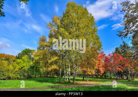 Petit coin d'automne parc de la ville avec le chemin à travers les arbres avec pelouse entre le feuillage multicolore rouge et arbres rowan - paysage d'automne à bright su Banque D'Images