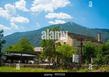 Ferme. Sarvise, province de Huesca, Aragon, Espagne. Banque D'Images