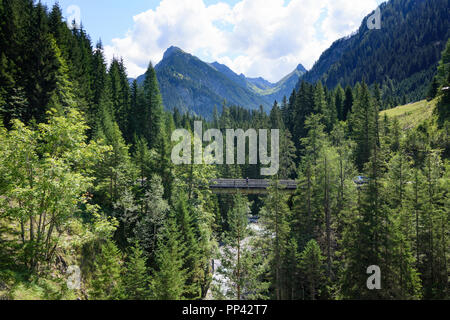 Lechtaler Alpen, Alpes de Lechtal : pont sur la vallée Lechtal, Parseierbach flux, Tirol, Tyrol, Autriche Banque D'Images