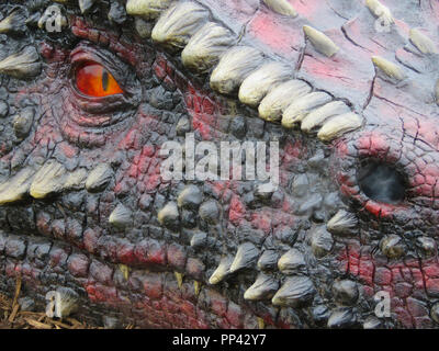 Très grand dragon réaliste dans le parc de château de Caerphilly, pays de Galles, Royaume-Uni Banque D'Images