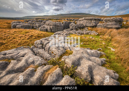 Whernside est une montagne dans les vallées du Yorkshire dans le Nord de l'Angleterre. C'est la plus haute des Yorkshire Trois Pics,[1] Les deux autres étant l'Ingleboroug Banque D'Images