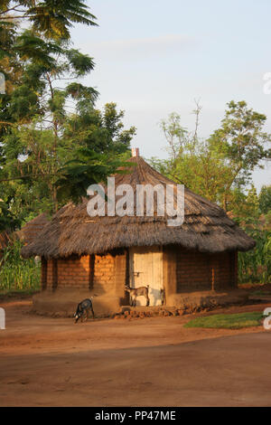 Début de la lumière du matin sur une ferme à Adjumani, dans la région du Nil occidental de l'Ouganda. Banque D'Images