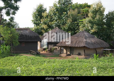 Homesteads à Adjumani, dans la région du Nil occidental de l'Ouganda. Banque D'Images