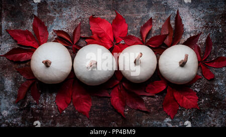 Joyeux Thanksgiving. Les citrouilles et les feuilles tombées sur rétro arrière-plan foncé. L'automne et les décorations saisonnières. Vacances de Thanksgiving encore la vie. Banque D'Images