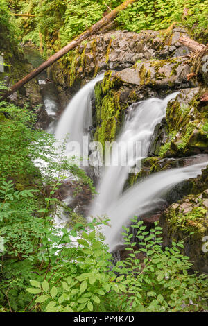 Sol Duc Falls, Olympic National Park, Washington State, USA Banque D'Images