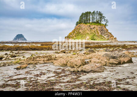 Tskawahyah Island, la flatterie des Rocks, vue depuis le cap Alava, côte du Pacifique, l'Olympic National Park, Washington State, USA Banque D'Images