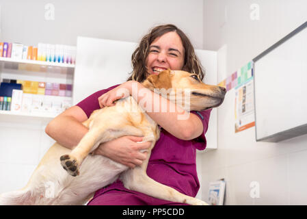 Médecin à la clinique vétérinaire serrant un beau chien Banque D'Images