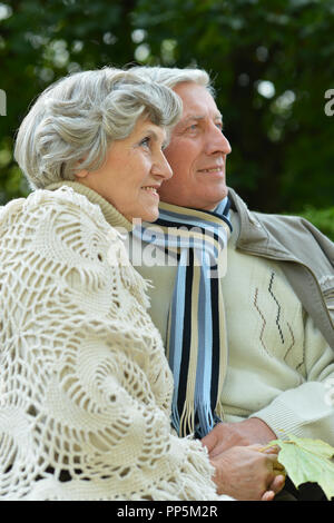 Portrait of happy senior couple in autumn park Banque D'Images