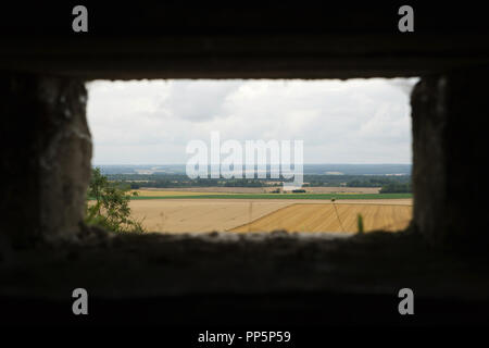 Champ de blé sur le poste d'observation de tranchée français utilisé pendant la Première Guerre mondiale, en la main de Massiges dans Marne région au nord-est de la France. La Main de Massiges était l'un des sites majeurs de la Première Guerre mondiale de 1914 à 1918. La première ligne de défense allemande était sur le champ de blé que l'on voit sur la photo de 1916 à 1918. La tranchée poste d'observation a été restauré au cours des travaux de restauration de la région réalisé par la main de Massiges Association depuis 2009. Banque D'Images