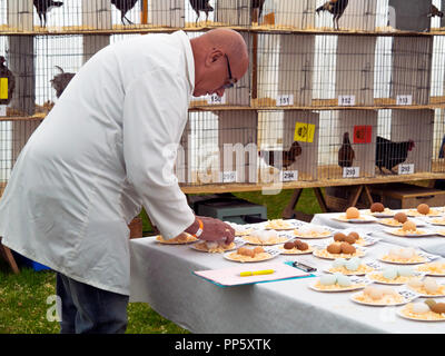 Salon de l'agriculture 2018 shérif devient un juge au travail à en juger les oeufs dans la section de la volaille Banque D'Images