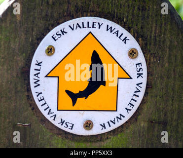 Panneau de signalisation avec un Saumon bondissant par les Maures Center Danby Yorkshire du Nord montrant la route de la vallée d'ESK à pied à un pont sur la rivière Esk Banque D'Images