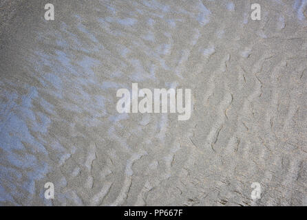 Libre de la texture du sable noir à Piha beach à Auckland, Nouvelle-Zélande Banque D'Images