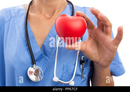 De gros plan femme médecin cardiologue holding toy coeur rouge en tant que concept de soins de santé cardiaque isolé sur fond blanc Banque D'Images